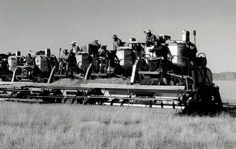 vintage combines harvesting