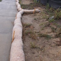 Curlex sediment log