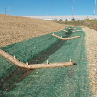 Erosion-Control-Miller-Seed-unspecified-14