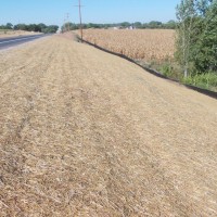 Erosion-Control-Miller-Seed-unspecified-2