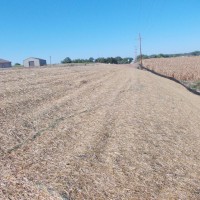 Erosion-Control-Miller-Seed-unspecified-3