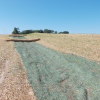 Erosion-Control-Miller-Seed-unspecified-5