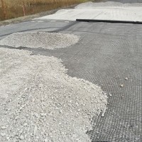 Geogrid-Miller-Seed-1