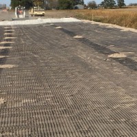 Geogrid-Miller-Seed-10