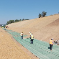 Reinforcement-Matting-Miller-Seed