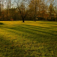 lawns-and-landscapes-miller-seed-6438823879_8582395fe6_z