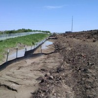 silt-fence-miller-seed-3